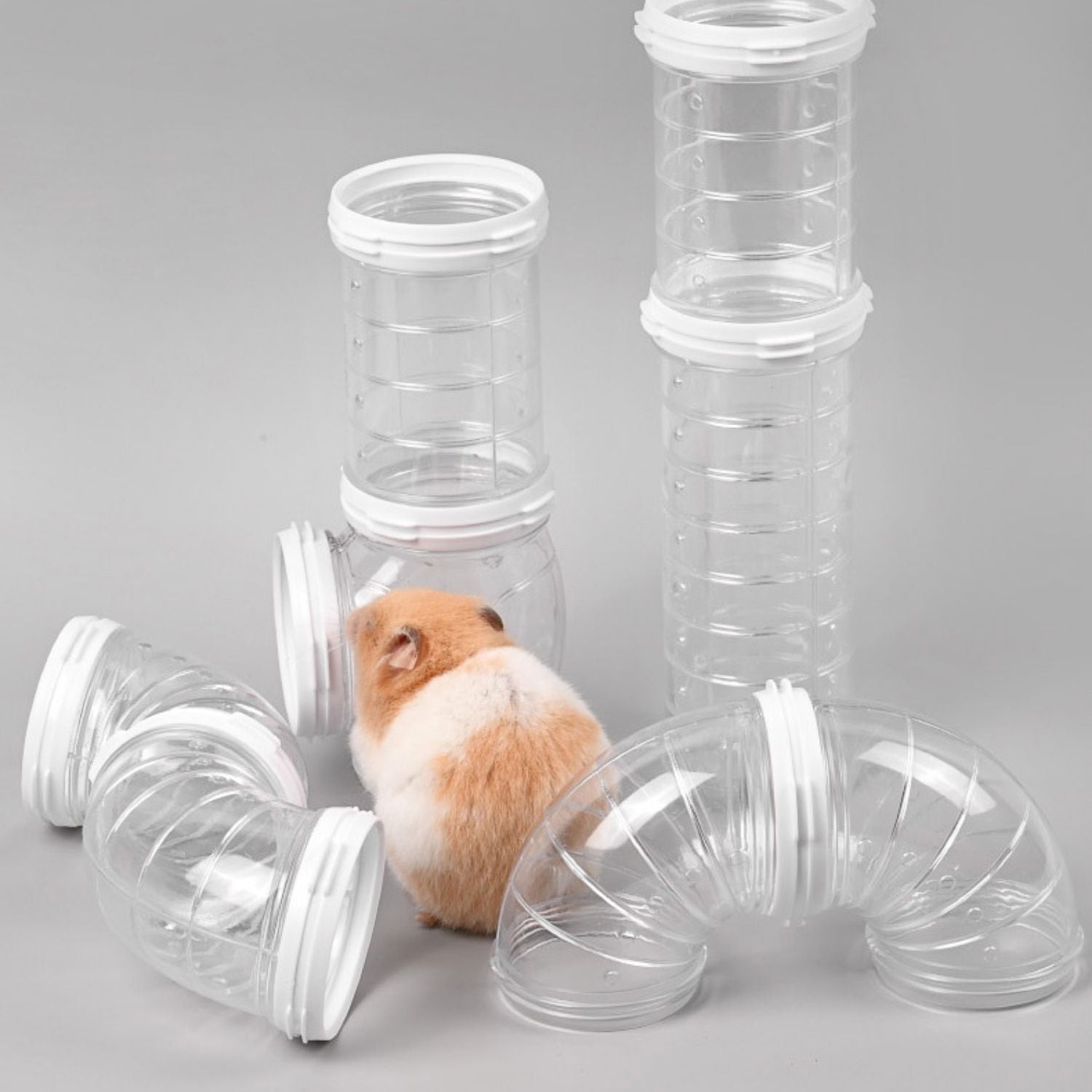 Hamster Pijp Speelgoed Set hamster met plastic pijpen